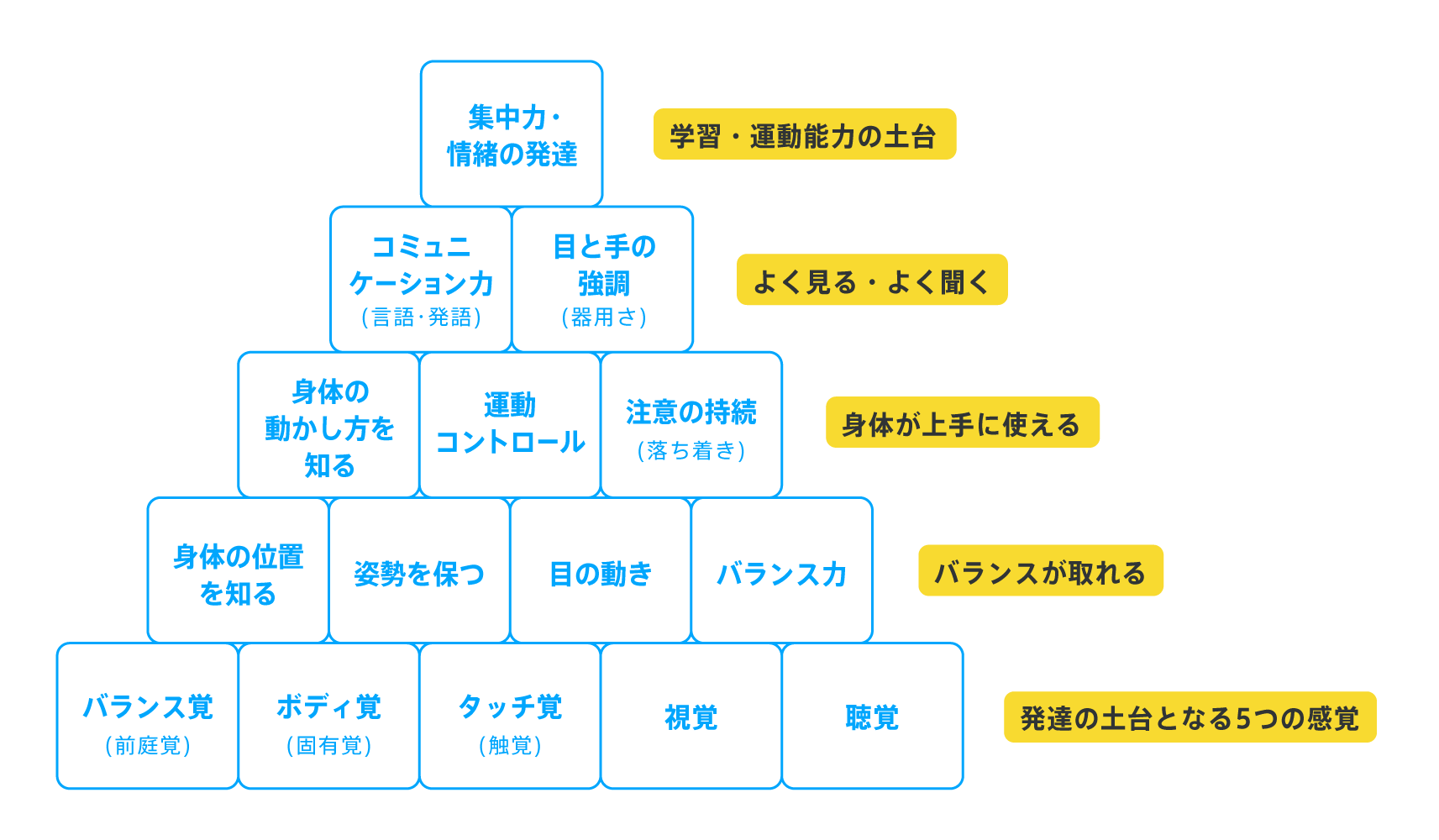 発達ピラミッド サンプル